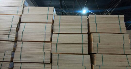 Stacks of engineered lvl timber sheets stored in warehouse for construction use